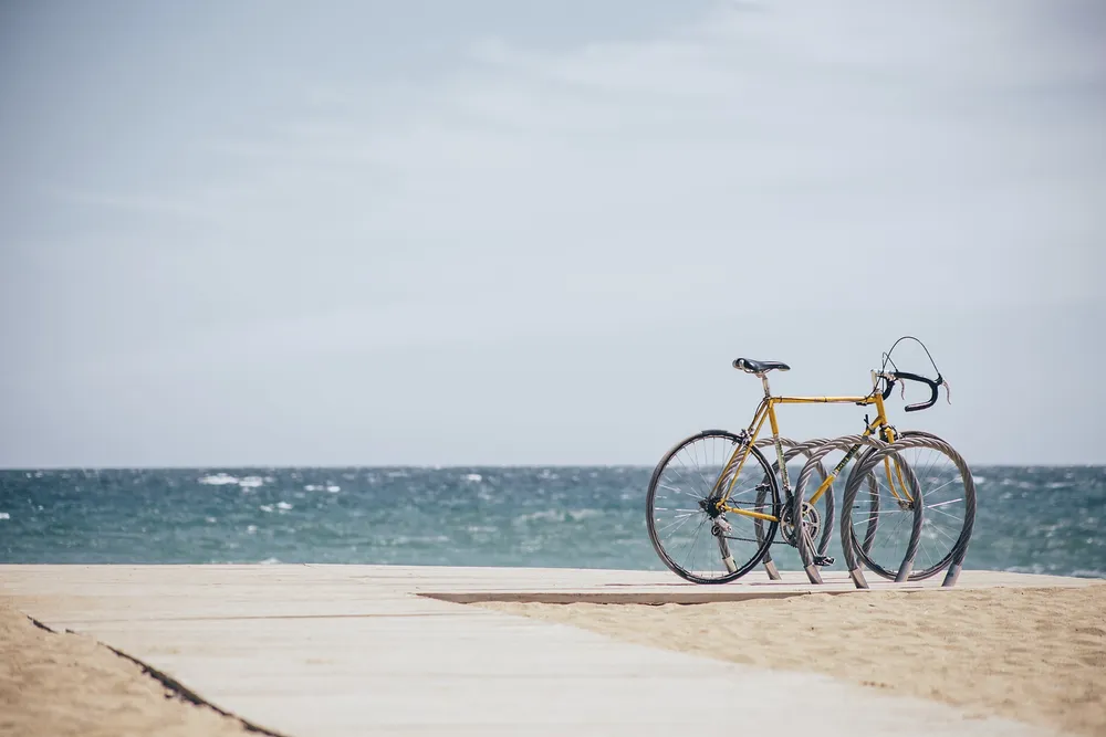 Shimano-Laden -Shimano-Laden 5