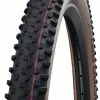 Schwalbe Racing Ray Addix Speed Super Race Tubeless Easy Transparent Sidewall 29x2.35 Reifen